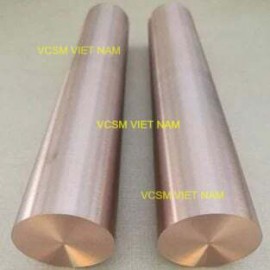 Đồng hợp kim BeCu C17300